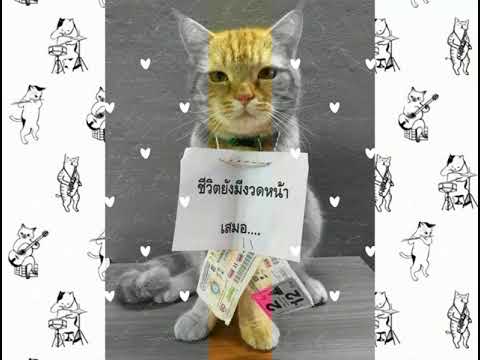 💛สวัสดีหลังวันหวยออก💛
