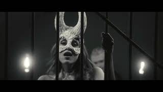 ISOTTA - CRYPTOCORNUTA (Official Video)