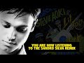Laidback Luke &Steve Aoki feat. Lil Jon - Turbulence Remixes (Laidback Luke Mini-Mix)