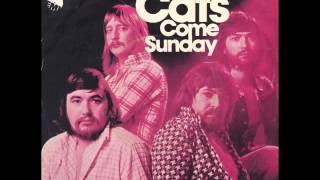 Watch Cats Come Sunday video
