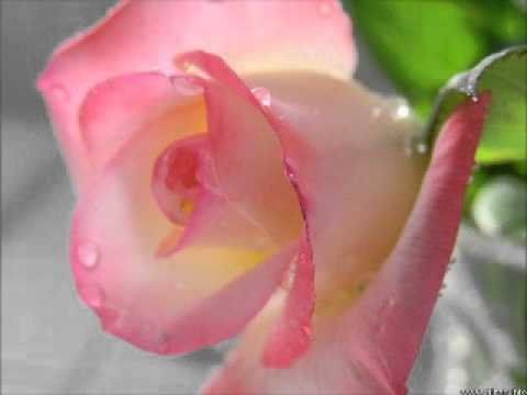 Mahiya by Gulam Ali and kavita Krishnamurty