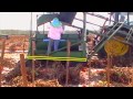 Cleaning Planting Tomato Fields Spanish