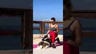 Witness The Delightful Training Of A Girl And Her Dog Amidst A Stunning Seascape P2