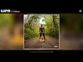 Blown Video preview