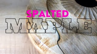 Woodturning Spalted Red Maple Hollowform