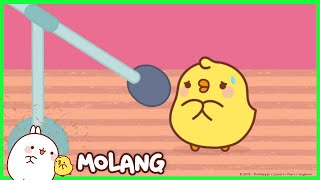 Molang - The Stage Fright | Cartoon for kids
