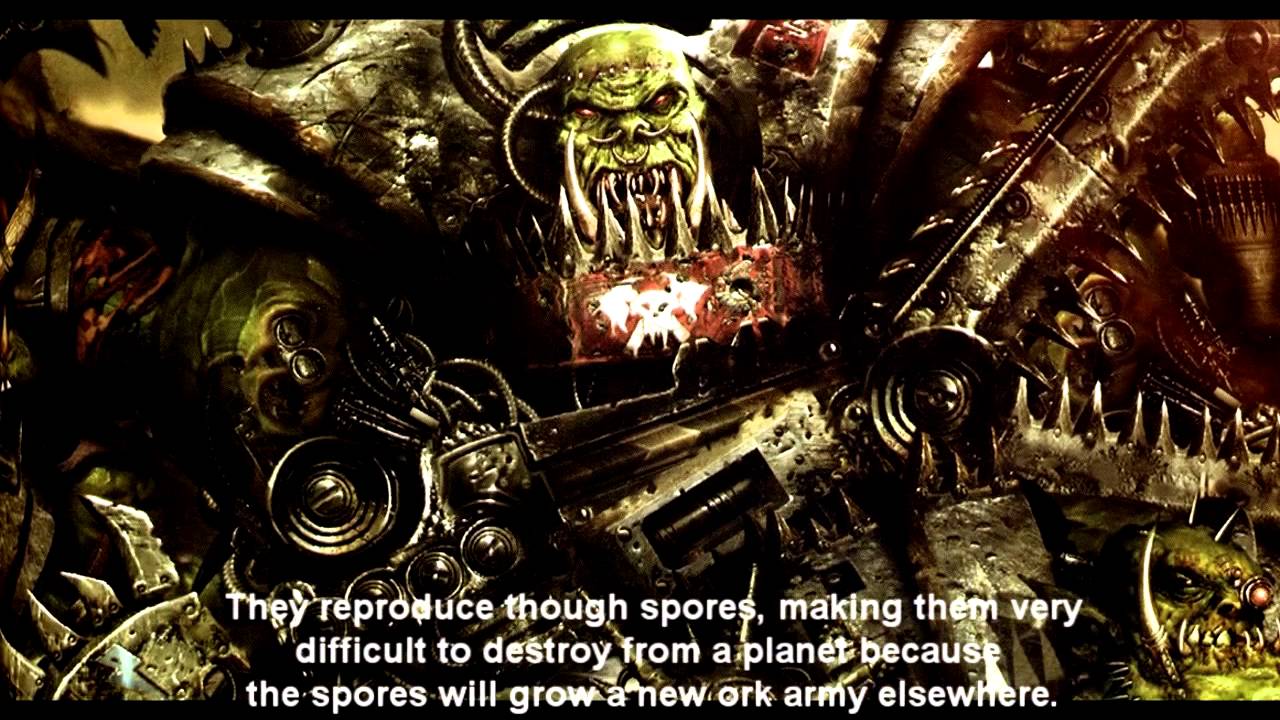 11 reasons why I think Warhammer 40k defeats Halo - YouTube