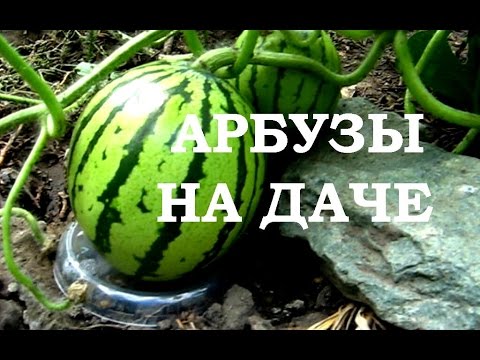 Канзаши красивый цветок Канзаши красивый цветок