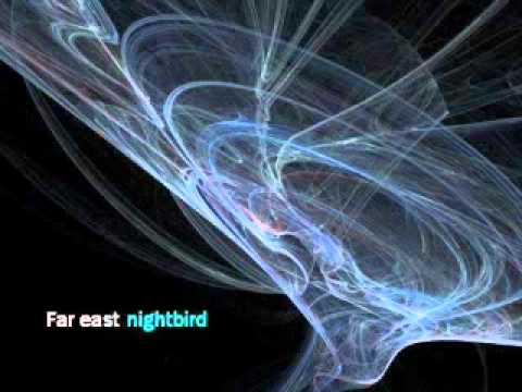 猫叉Master-Far east nightbird