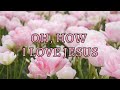 Oh, How I Love Jesus- Lyric Video- Karaoke- No Vocals