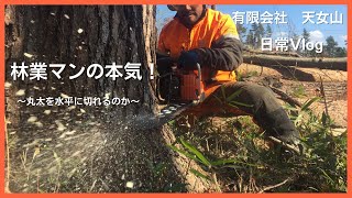 林業マンの本気?丸太を水平にする