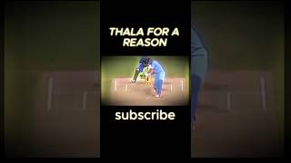 Mahi Magic