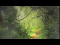 Rainforest animation