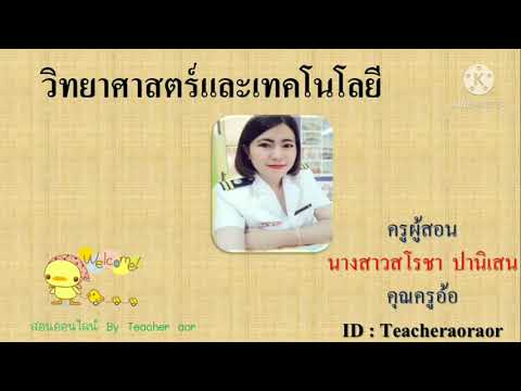 การเขียนผังงาน