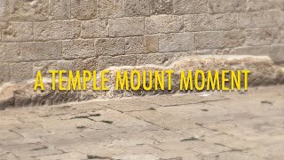 A Temple Mount Moment: The Bedrock of the Temple Mount