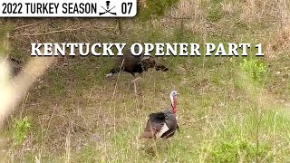 Kentucky Longbeard Called to 20 Yards