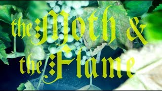 Watch Moth  The Flame Holy War video