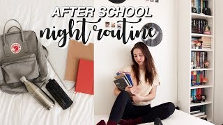 my after school night routine 2019!