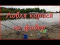 Ловля карася на фидер в мае Ловля карася на фидер в мае