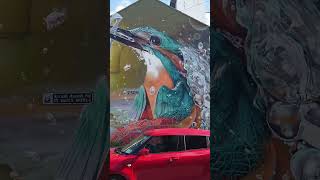 Cork, Ireland, Giant Kingfisher #Shorts