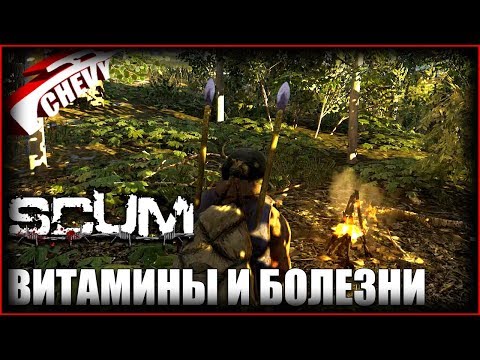 SCUM - ВИТАМИНЫ И БОЛЕЗНИ SCUM - ВИТАМИНЫ И БОЛЕЗНИ