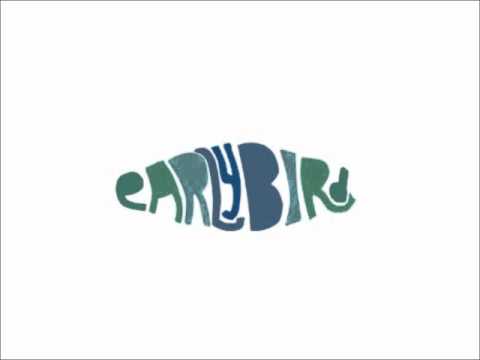Adventure Video