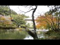 成田山公園【2015.11.11】