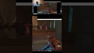The Bugs Still Exist After 5 Years