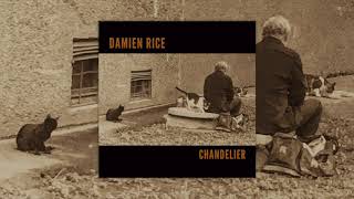 Watch Damien Rice Chandelier video