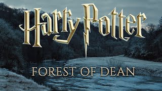 Forest Of Dean Winter Asmr Relaxing Howling Wind Harry Potter Inspired Ambience & Soft Music