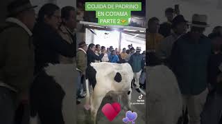 Cojida De Padrino En Cotama