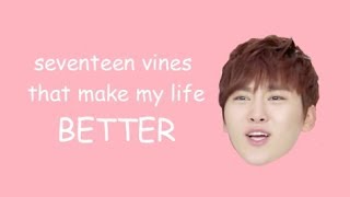 Seventeen vines that make my life better