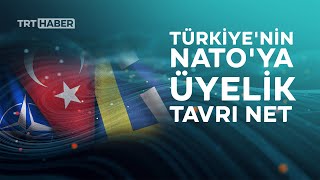 Terör örgütleri iki ülkede cirit atıyor: Türkiye'nin NATO'ya üyelik tavrı net