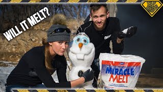 Can You Melt Ice Melt?