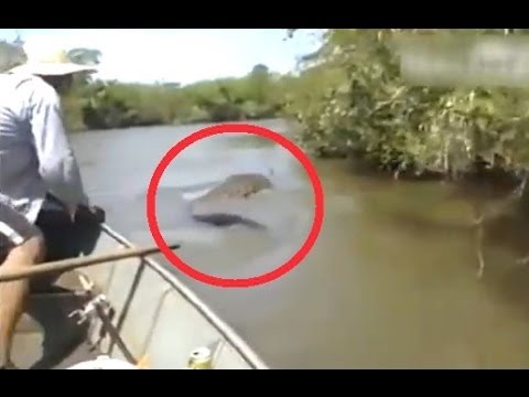 фашисты на рыбалке фашисты на рыбалке