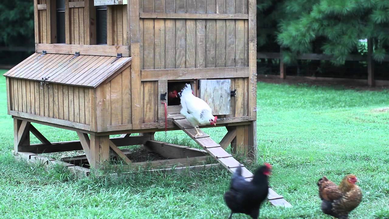 Automatic Chicken Coop Door - YouTube