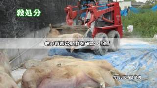 海中堅産業動物獣医師講習会外伝染病について