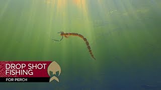 Dropshot Fishing For Perch - Westin-Fishing