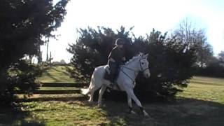 Embarr Masterson Ditch Logs