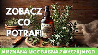 Bagno Zwyczajne- Nieznana Moc. Zobacz Co Potrafi Ta Roślina.
