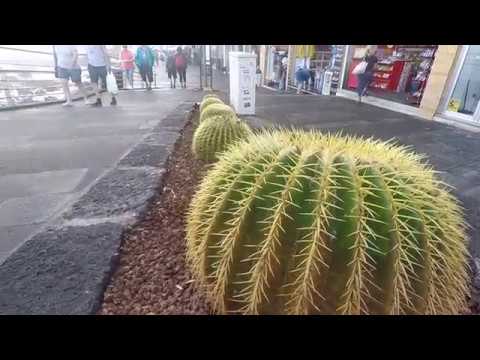 Puerto de la Cruz, TENERIFE - Sights and Sounds. March 2019.