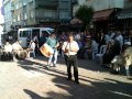 ordu davul klarnet.ordu düğünü