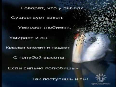 Как настроить ретаргетинг в Яндекс Директе и ремаркетинг в Google КОНКУРСЫ "Операция С" Выкуп невесты, свадьба ВКонтакте