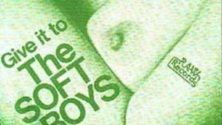 Watch Soft Boys Give It To The Soft Boys video