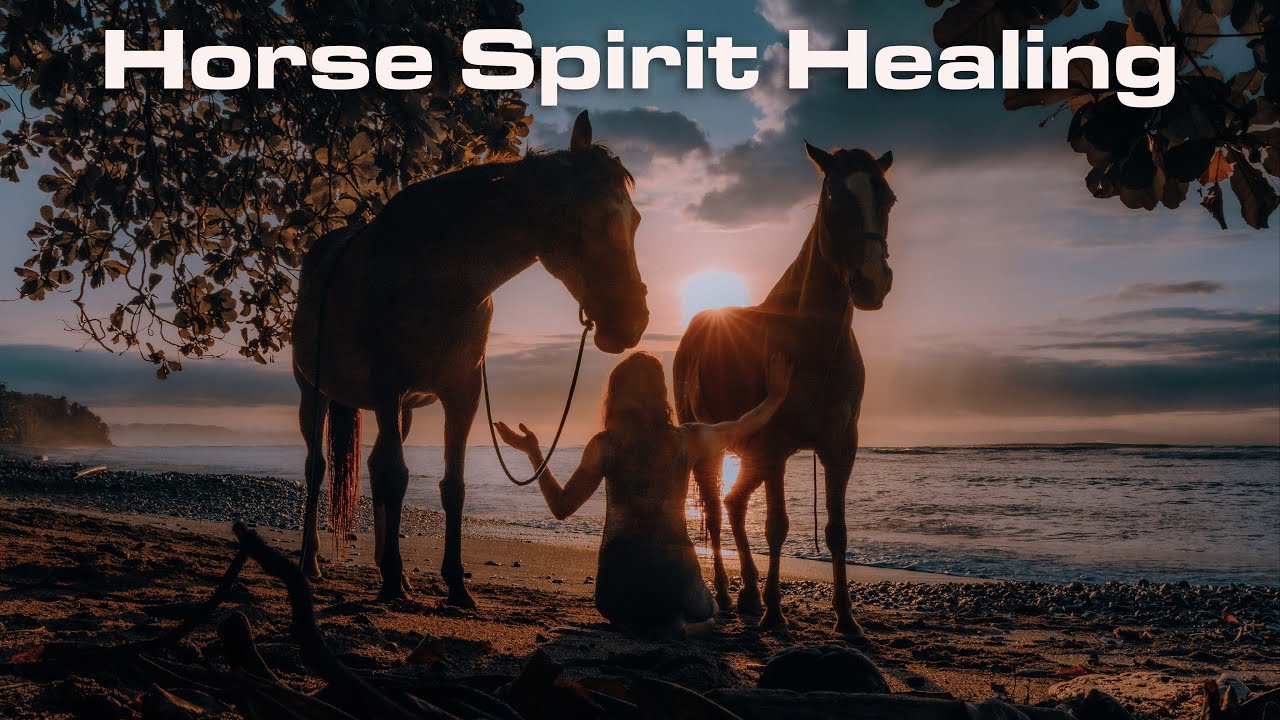 Horse Spirit Healing with Letitia Watson and her healing herd in Costa Rica