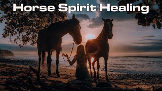 Horse Spirit Healing with Letitia Watson and her healing herd in Costa Rica
