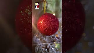 Merry Christmas From Wicc Nagercoil