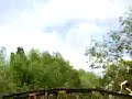 newnham river jumping