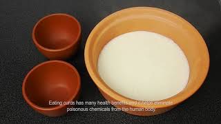 Buffalo Milk Curd Of Bhola
