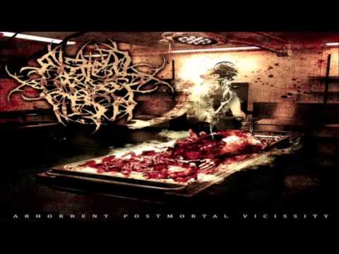 Masticating Flesh Video